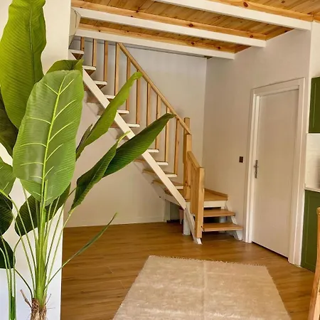 Nyaraló Sizanor Bungalov Sapanca